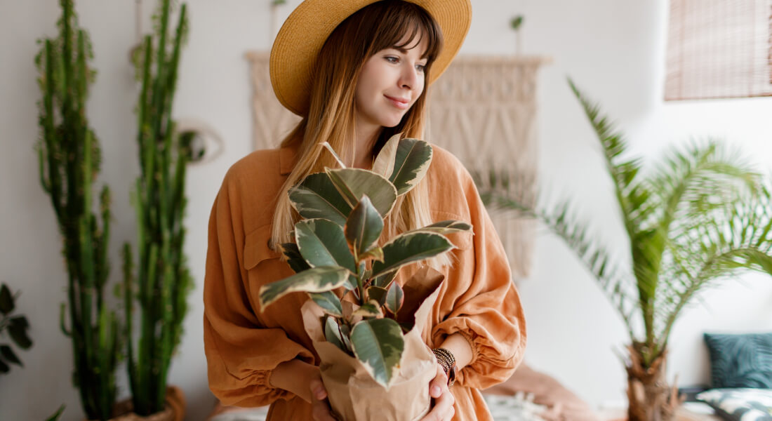 blog